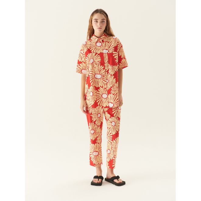 Camisa Mc Sunflower