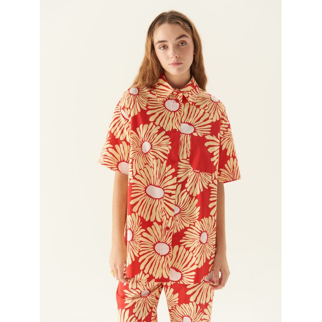 Camisa Mc Sunflower